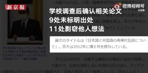 博士故事视频爆料,视频爆料背后的惊人真相