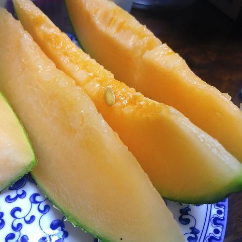 甘肃最新的瓜爆料,瓜果飘香,丰收喜讯传四方 第3张 甘肃最新的瓜爆料,瓜果飘香,丰收喜讯传四方 第3张