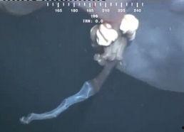 妖怪最新爆料视频大全在线观看,神秘世界一网打尽