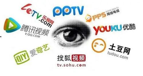 黑客爆料正能量视频网址,黑客爆料震撼视频网址背后的故事